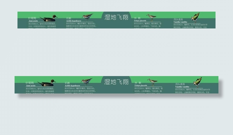 湿地公园图片