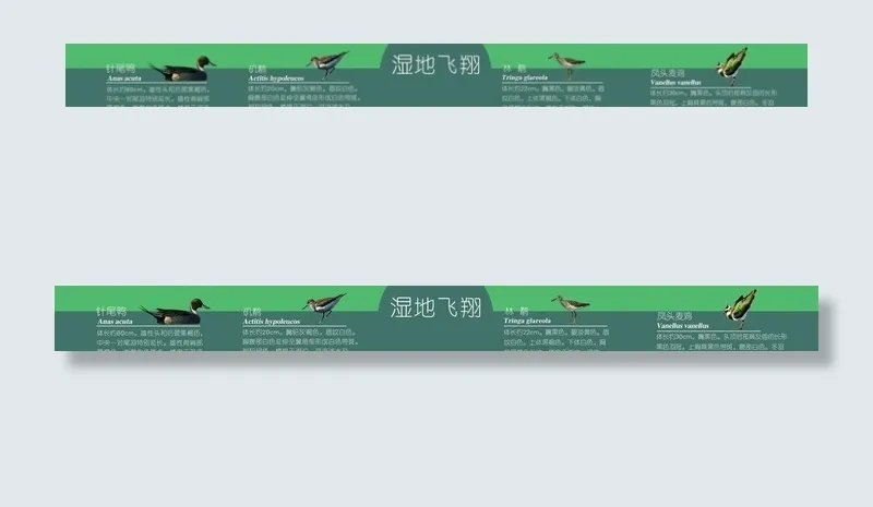 湿地公园图片