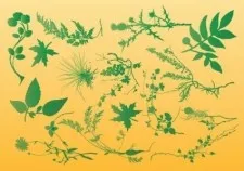 植物的矢量图形ai矢量模版下载