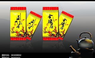 傲雪红梅（展开图）图片