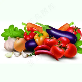 新鲜蔬菜矢量素材图片