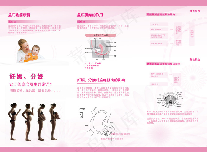 关注女性 关注盆底(3366X2480(DPI:300))psd模版下载