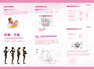 关注女性 关注盆底