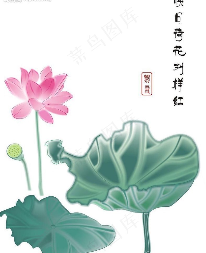 国画荷花图片cdr矢量模版下载