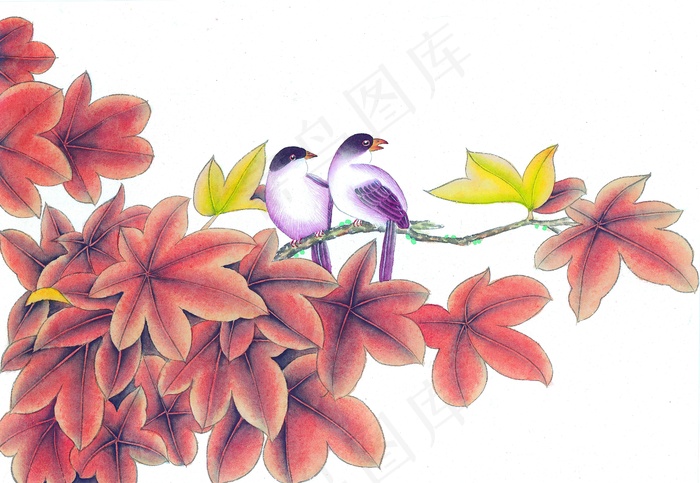 树叶上的动物图片