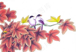 树叶上的动物图片