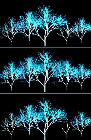 高清全息投影荧光树生长视频