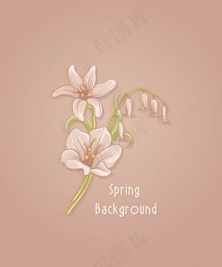 春天开花的花卉背景矢量插画