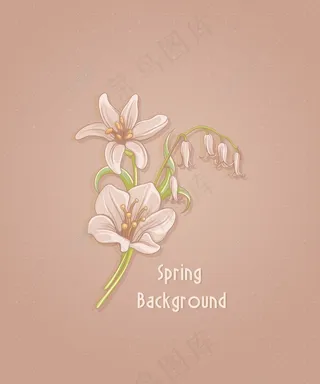春天开花的花卉背景矢量插画