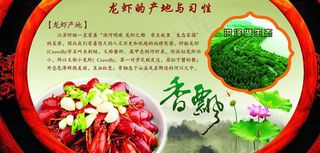 龙虾图片