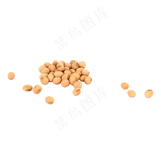 大豆黄豆,免抠元素