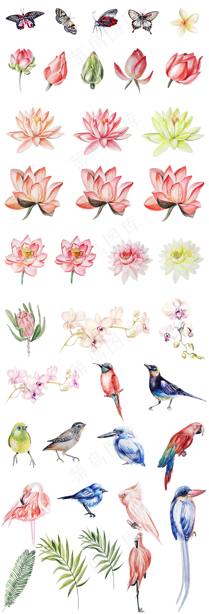 清新手绘蝴蝶花朵鸟PNG设计元素