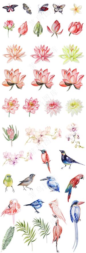 清新手绘蝴蝶花朵鸟PNG设计元素