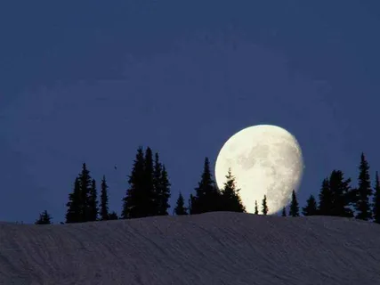 唯美风景PPT模板