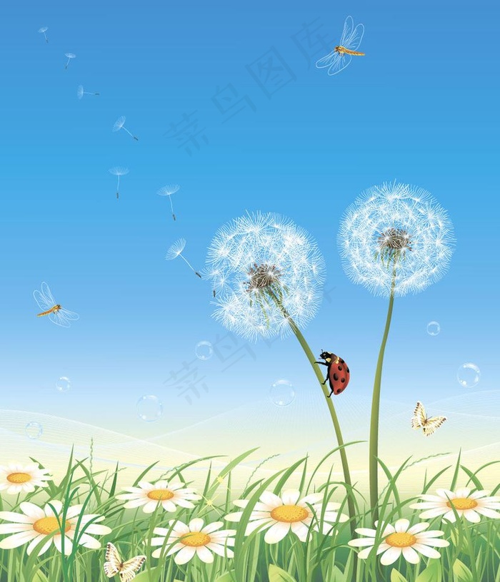 夏天花卉花朵背景图片