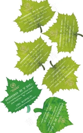树叶图片