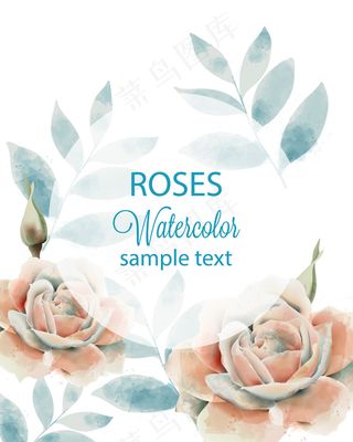 水彩玫瑰和叶矢量背景图,水彩玫瑰,玫瑰花,花卉背景,水彩花卉,EPS