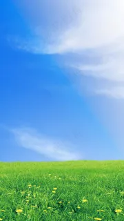 蓝天白云草地背景