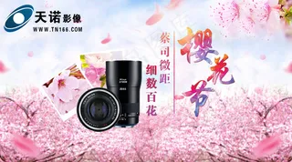 浪漫樱花节宣传海报psd分层素材