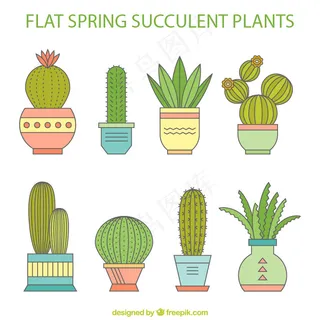 卡通仙人掌多肉盆栽矢量