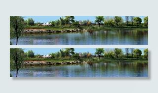 园林景观花草树林鸟瞰透视效果图ps...