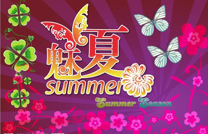 魅夏图片psd模版下载