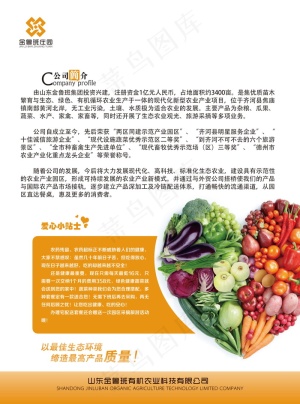 蔬菜单页宣传