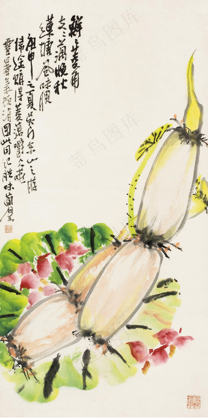 莲藕图片