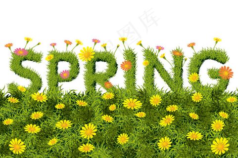 春天雏菊花丛矢量素材