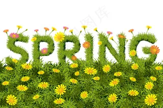 春天雏菊花丛矢量素材