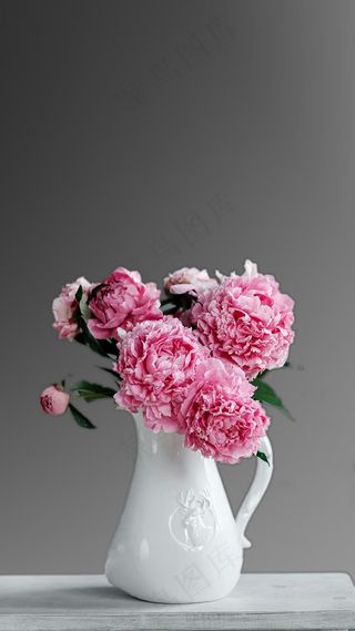 牡丹高清摄影图片