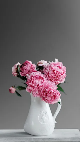 牡丹高清摄影图片