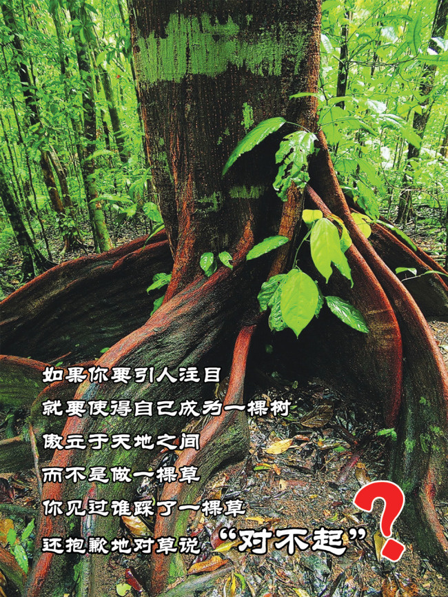 企业文化展板素材psd模版下载