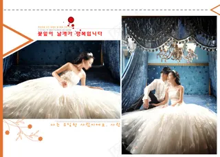 宫殿风格婚纱照PSD图片