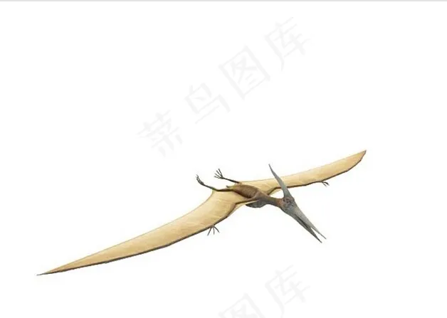 翼龙3d模型