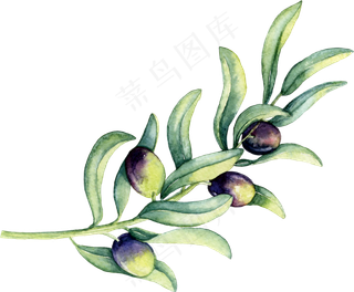 手绘花朵树叶婚礼请柬卡片png免扣...