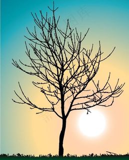 一个死了的树木剪影矢量素材