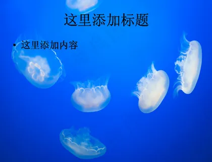 唯美水母高清PPT(10)