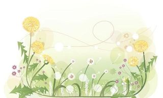 韩国植物装饰边框矢量图35