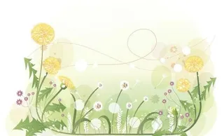 韩国植物装饰边框矢量图35