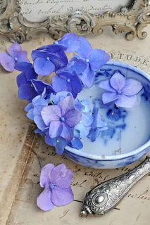 美丽鲜花与碗 美丽鲜花与碗