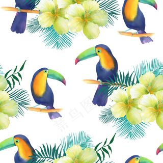 水彩高清热带植物树叶花卉金刚鹦鹉矢...