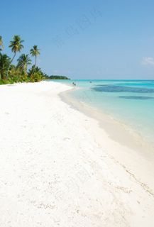 棕榈树的海滩天堂