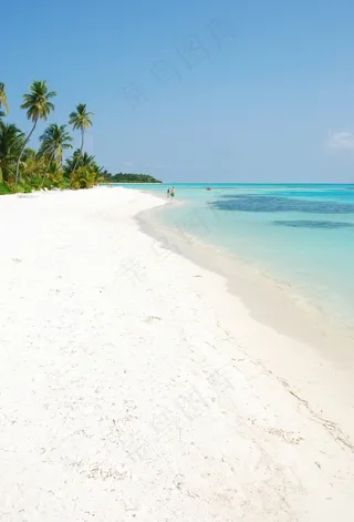 棕榈树的海滩天堂