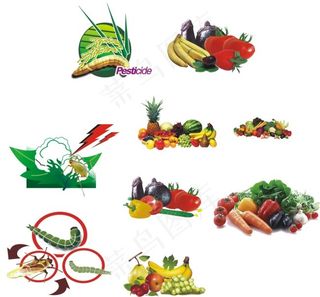 农作物 矢量图 萝卜