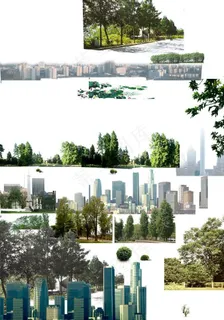 园林绿化设计景观树木图片