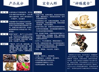 海参牡蛎片三折页宣传片宣传单
