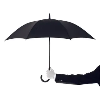 撑雨伞的手势 撑雨伞的手势