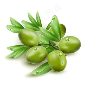 橄榄图片