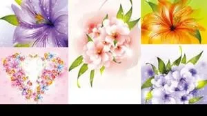 美丽的花朵矢量